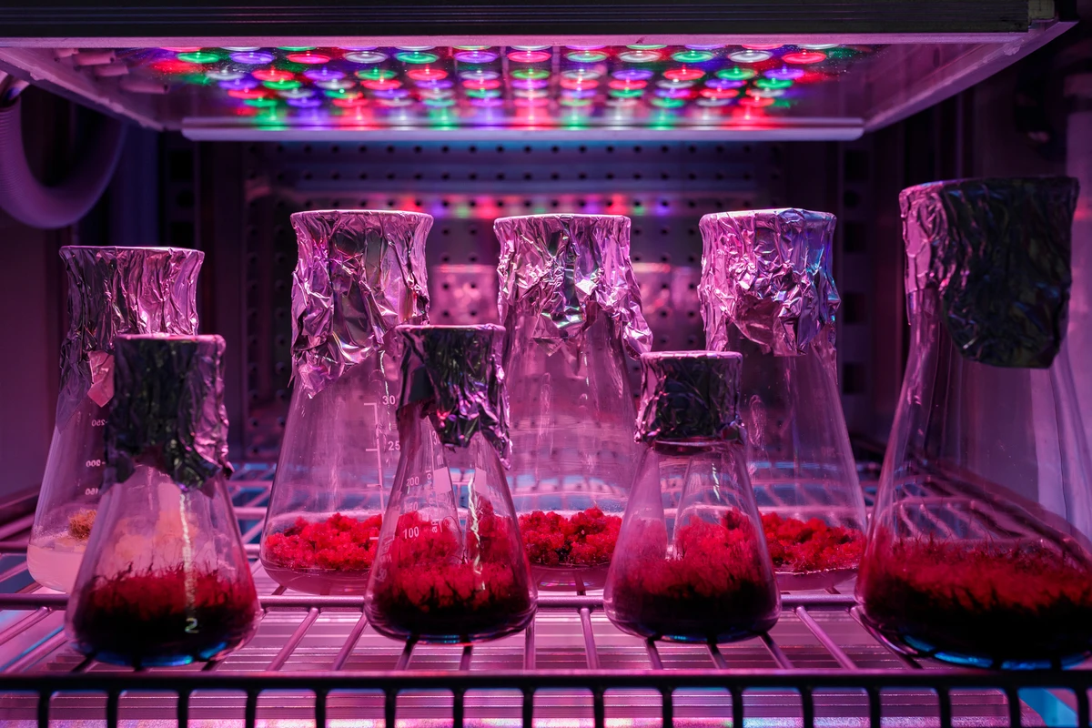 Warszawski Uniwersytet Medyczny 10