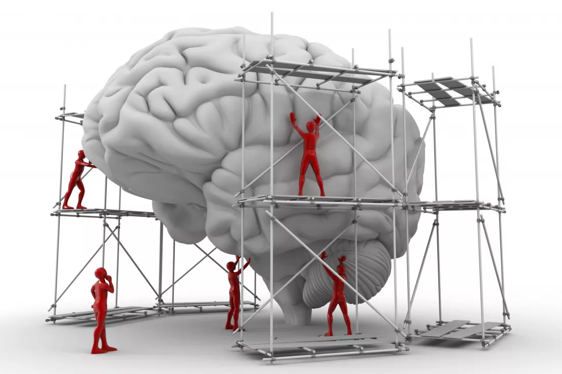 cholesterol-plaque-artery